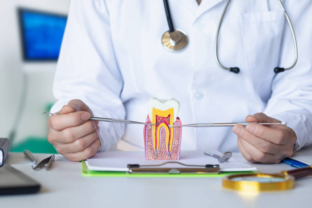 Best Emergency Care for Gum Disease in Washingtonville, NY